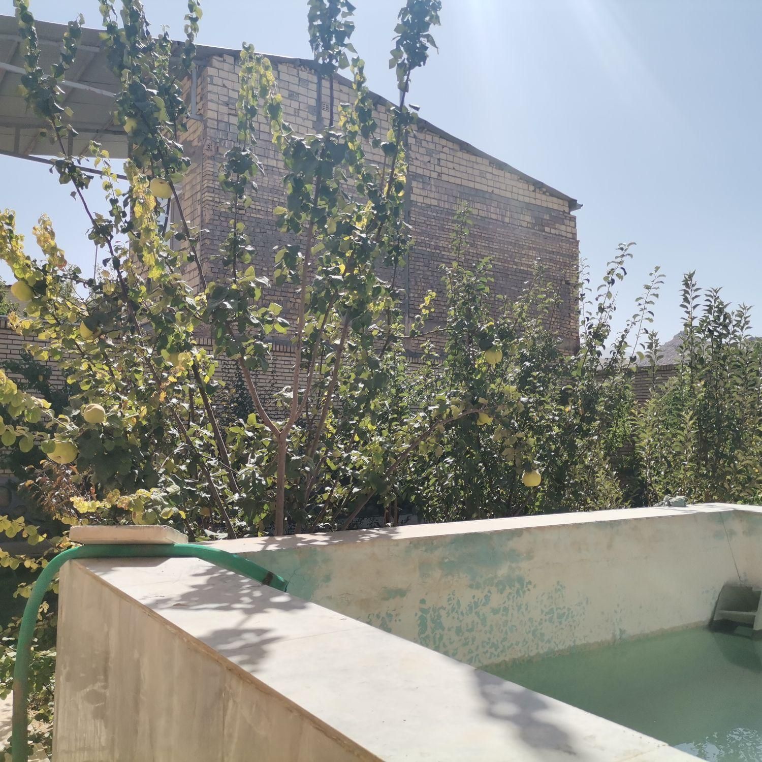 فروش خانه باغ 300 متری علی روستای علی آباد صدری|فروش خانه و ویلا|یزد, |دیوار