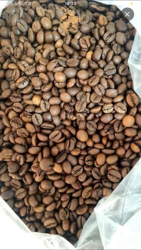 قهوه فروش انواع قهوه  جهت مصرف خانکی به قیمت عمده|خوردنی و آشامیدنی|شیراز, میانرود|دیوار
