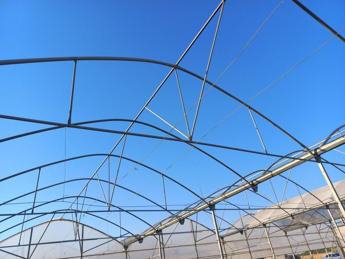 ساخت گلخانه|خدمات پیشه و مهارت|یزد, |دیوار