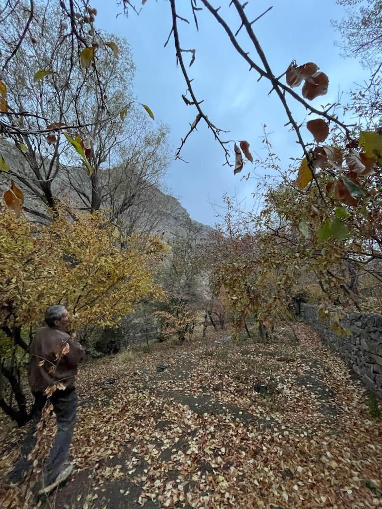 زمین روستای سنگان ۱۱۰۰ متر|فروش زمین و ملک کلنگی|تهران, کن|دیوار