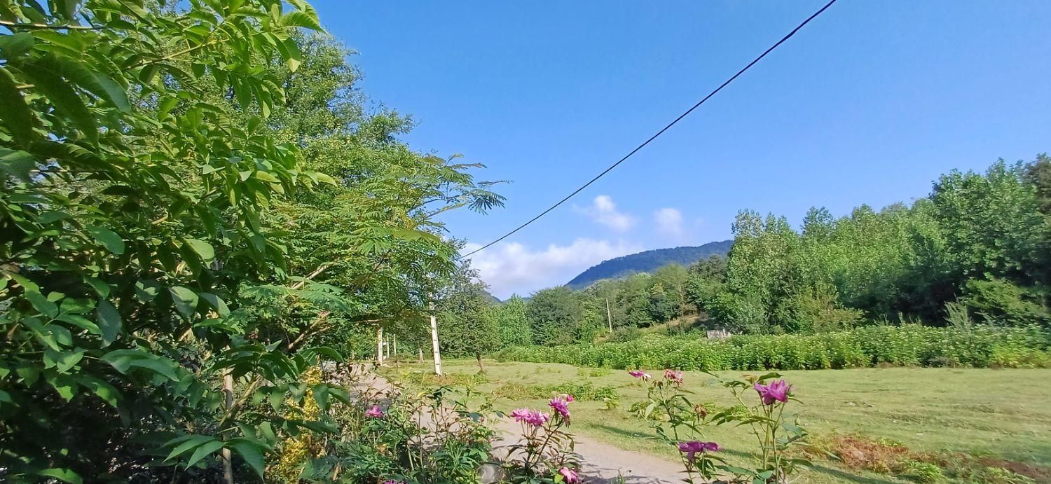 ویلا جنگلی در سراوان روستای کچا بدون واسطه ودربست|اجارهٔ کوتاه‌مدت ویلا و باغ|رشت, توشیبا|دیوار