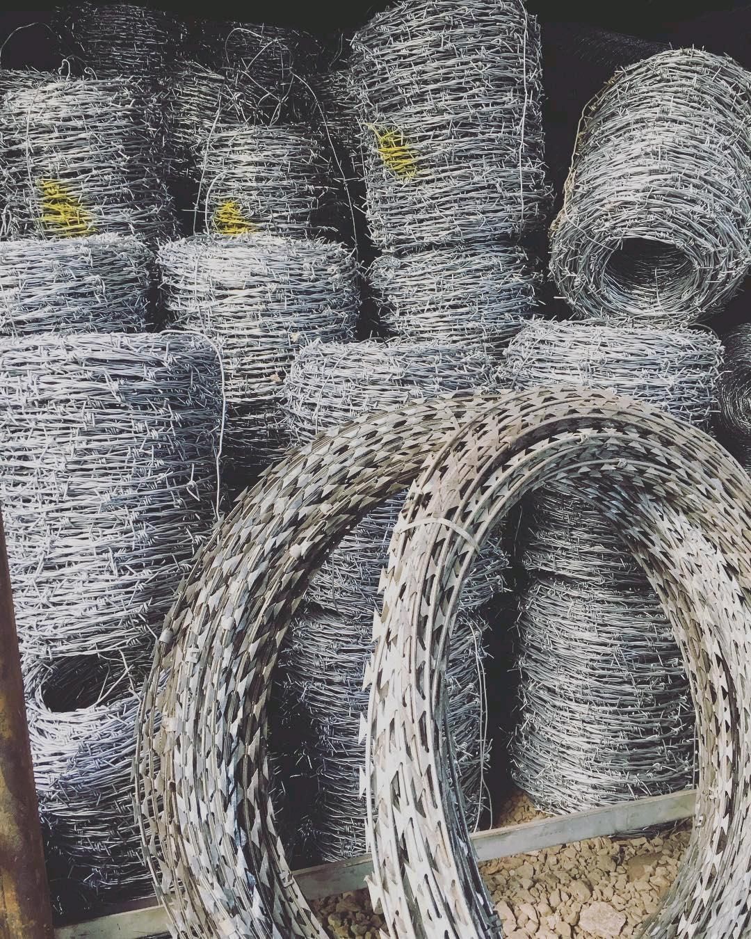 سیم خاردار ،خارسیم، سیم خاردار تبری تیغی گالوانیزه|خدمات باغبانی و درختکاری|تهران, بازار|دیوار