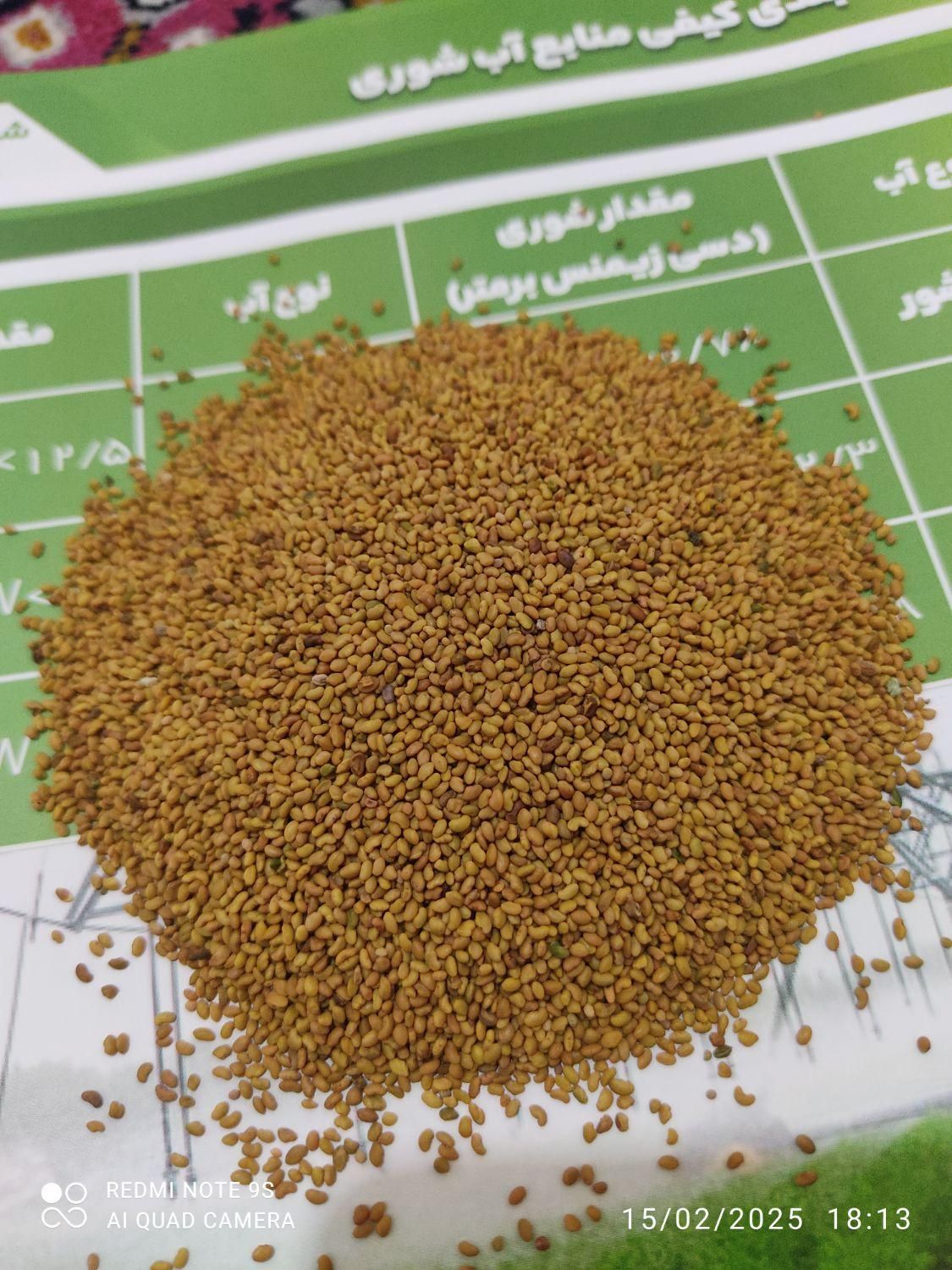 زرین بذر یونجه|خدمات باغبانی و درختکاری|شیراز, خلدبرین|دیوار