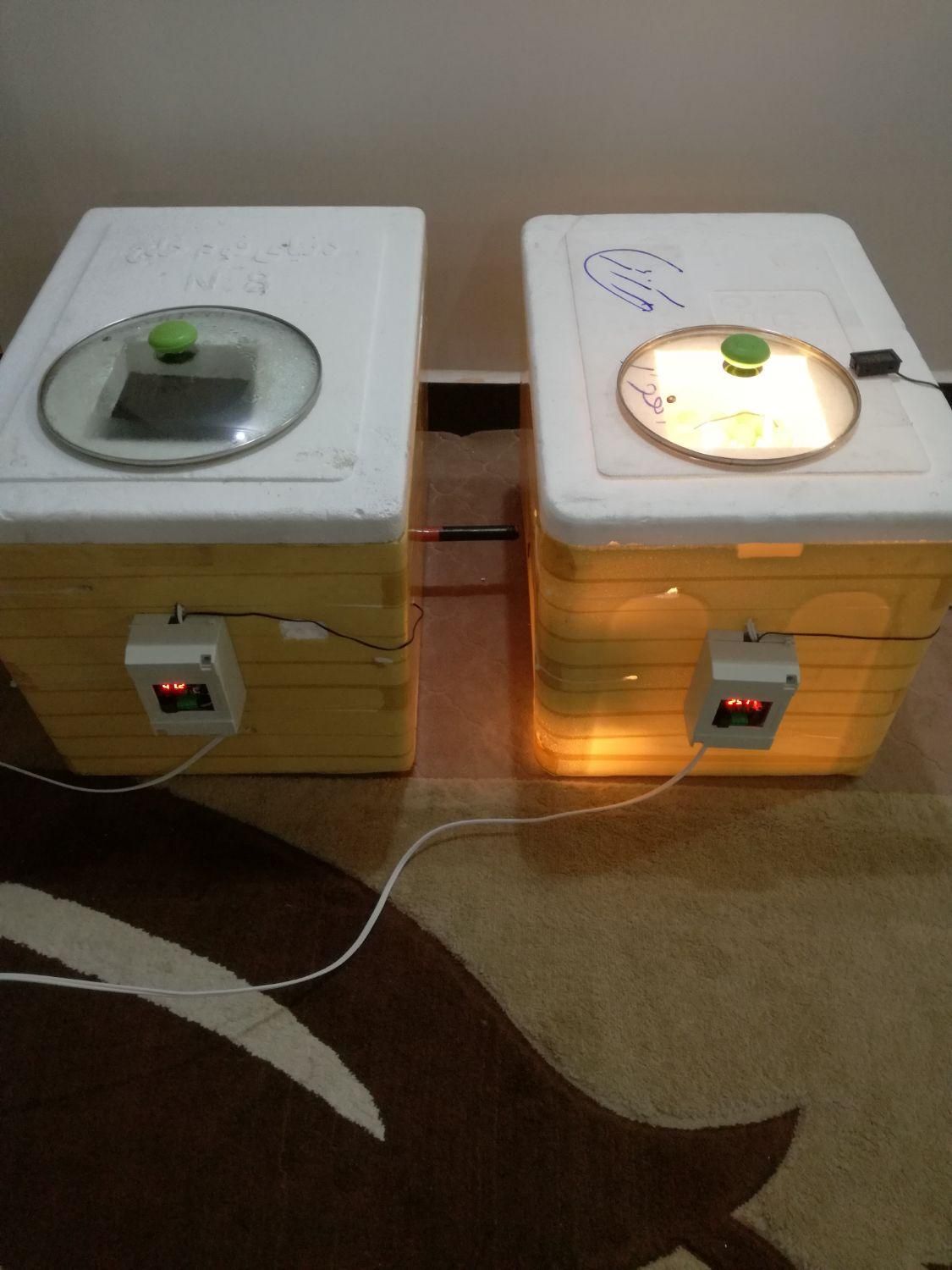 دستگاه جوجه کشی|لوازم جانبی حیوانات|بوشهر, |دیوار