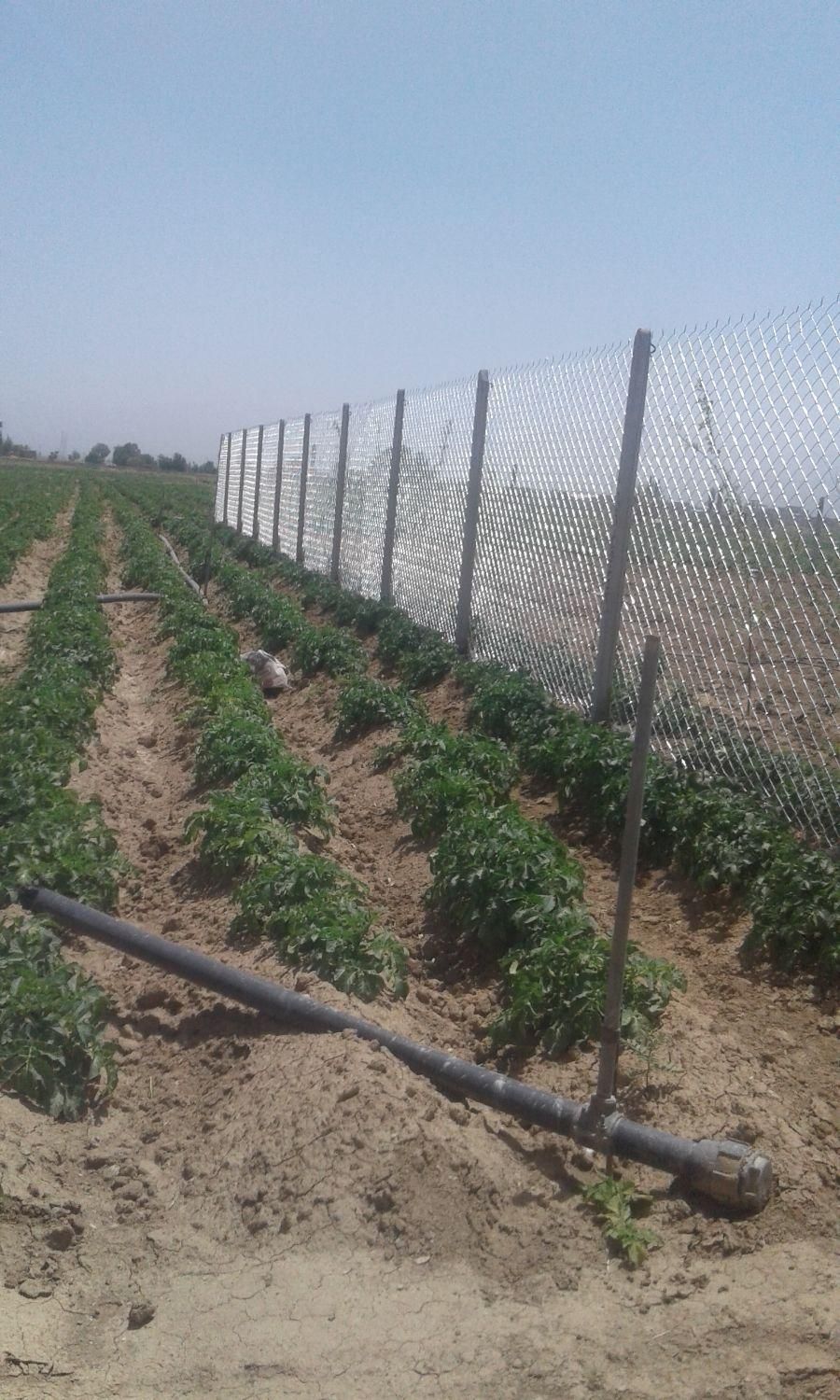 فنس . اجرای فنس کشی مهندسی.|خدمات باغبانی و درختکاری|همدان, |دیوار