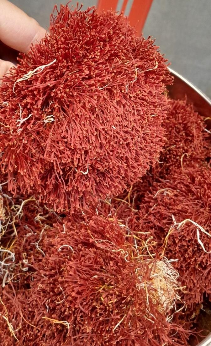 مثقالی فقط ۸۰ت (انواع زعفران و خشکبار)|خوردنی و آشامیدنی|قائن, |دیوار
