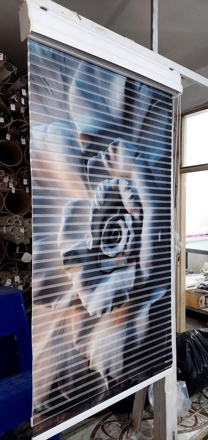 زبرا پرده مستقیم از تولیدی و دومکانیزم کد f5000|پرده، رانر، رومیزی|تبریز, |دیوار