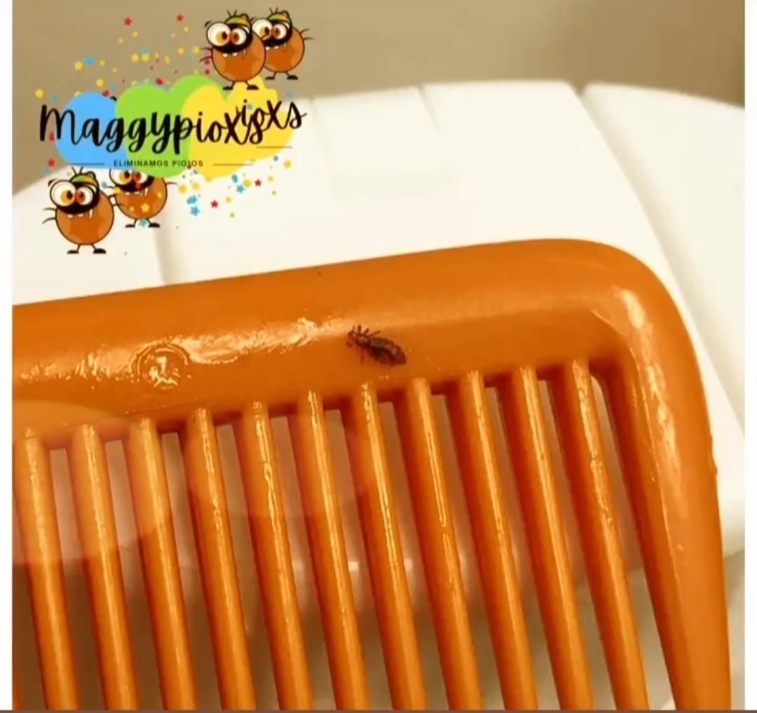 کلینیک ومرکز تخصصی درمان شپش آبتین یزد|خدمات آرایشگری و زیبایی|یزد, |دیوار