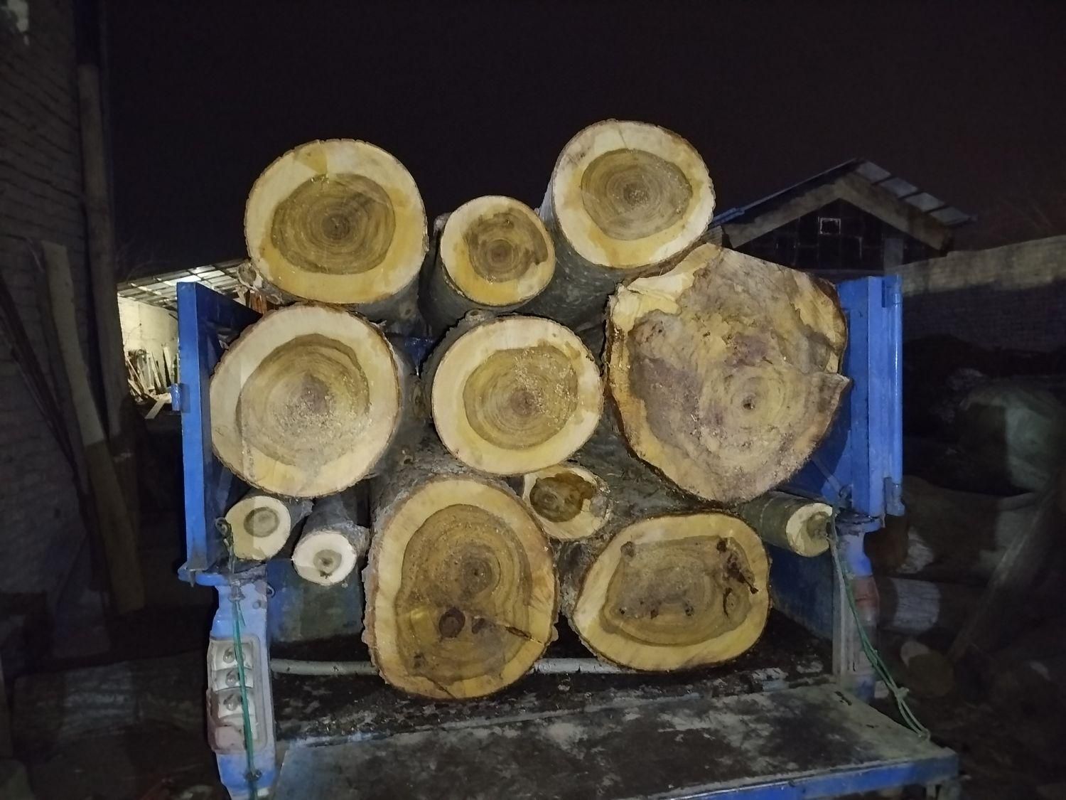 فروش خرید چوب درخت چوب سقفی تخته|عمدهفروشی|مشهد, نوید|دیوار