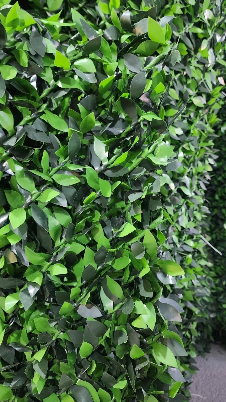 چمن مصنوعی و فنس (برگی ریشه ایی )  جزئی و عمده|مصالح و تجهیزات ساختمان|نوشهر, |دیوار