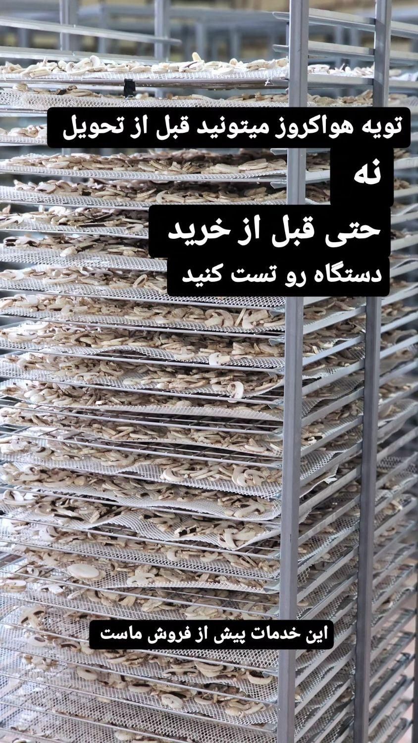 دستگاه خشک کن میوه و سبزی S belak|ماشین‌آلات صنعتی|رشت, منظریه|دیوار