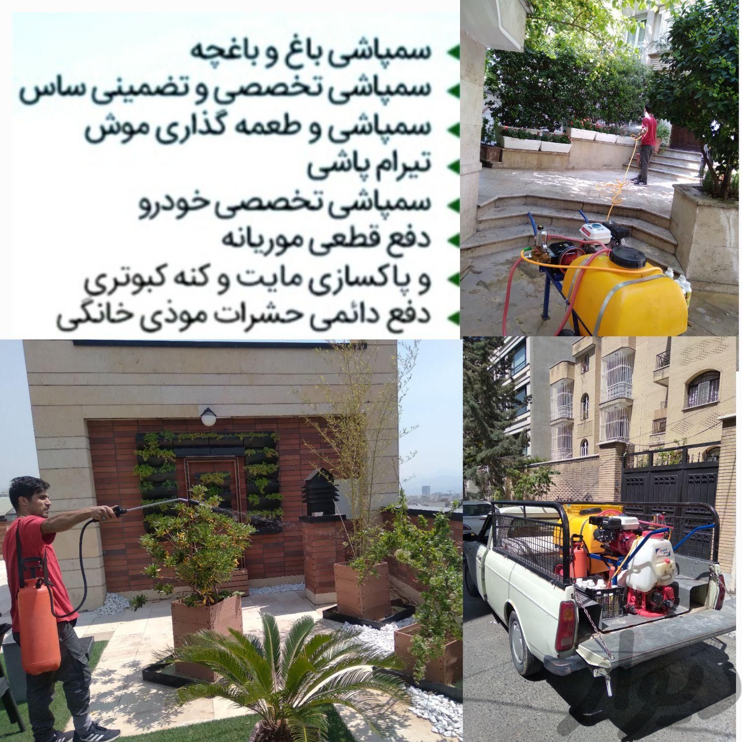 باغبانی و سمپاشی پایتخت 100٪تضمینی در تمام تهران|خدمات باغبانی و درختکاری|تهران, سیدخندان|دیوار