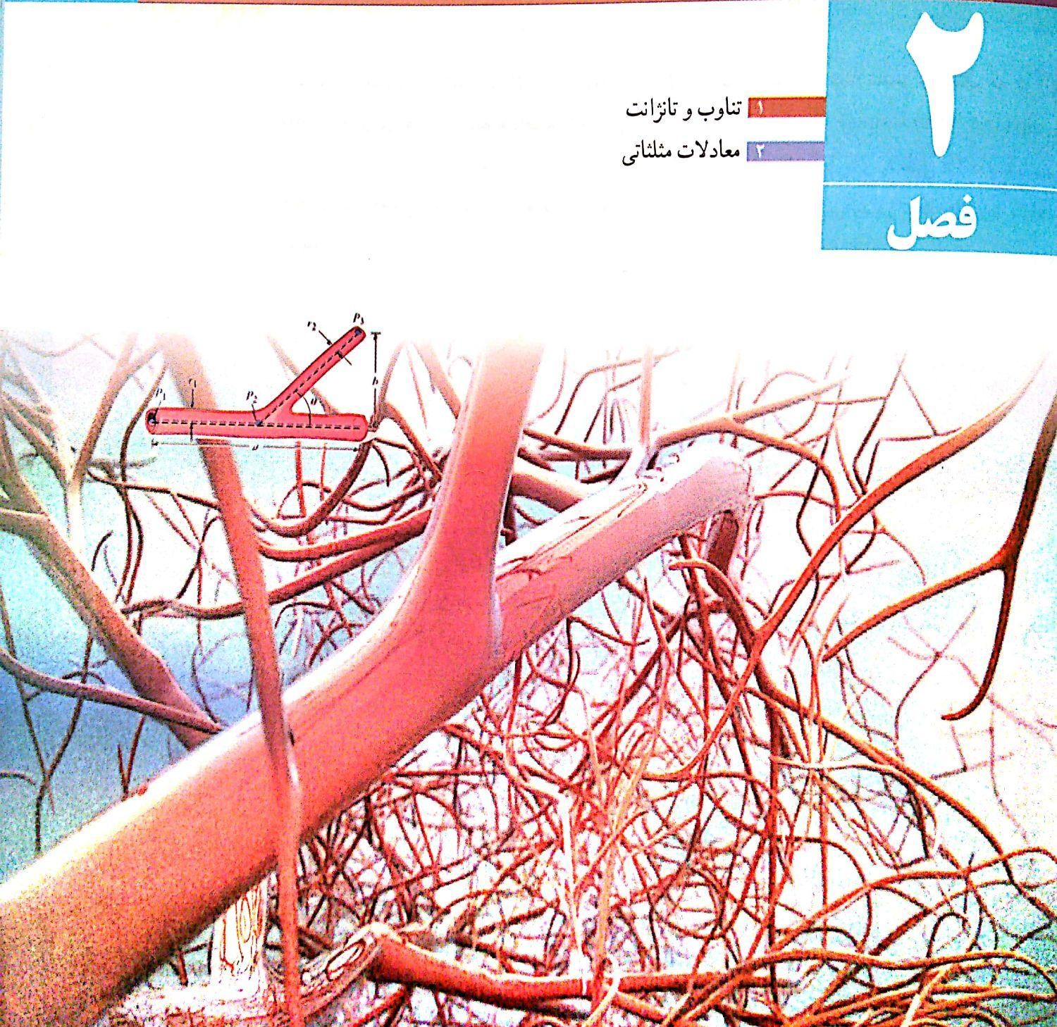 معلم خصوصی تست زنی ریاضی کنکور حسابان هندسه گسسته|خدمات آموزشی|تهران, پاسداران|دیوار