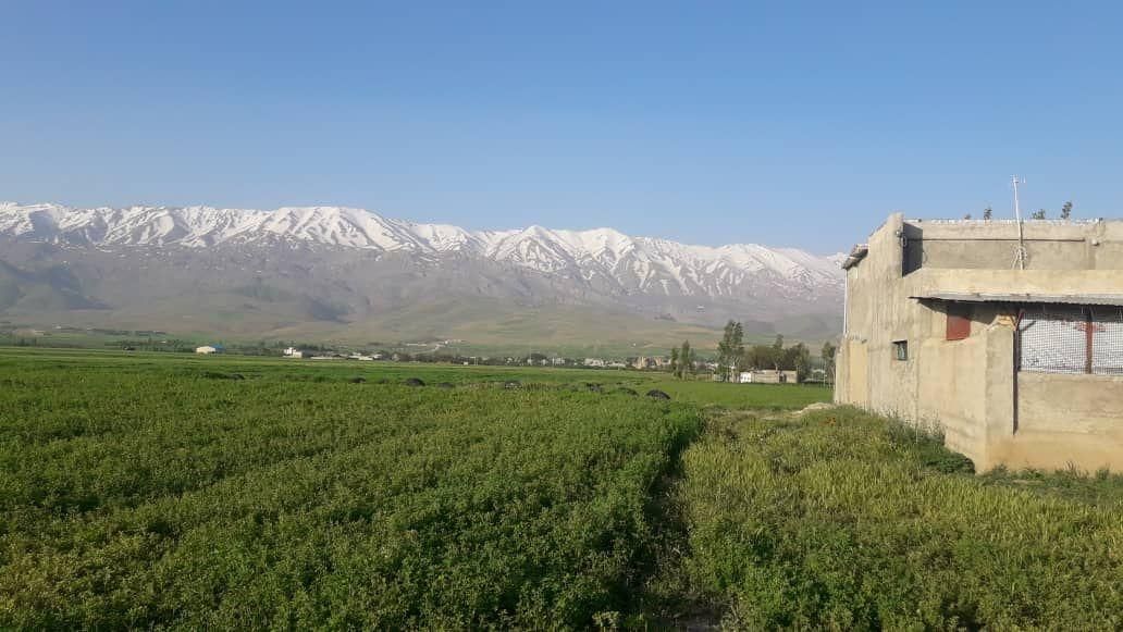 ۱۸۰۰۰متر مزرعه بزرگ.با ۲۸ساعت آب شیش آنچ در هفته|فروش دفتر صنعتی، کشاورزی، تجاری|نهاوند, |دیوار