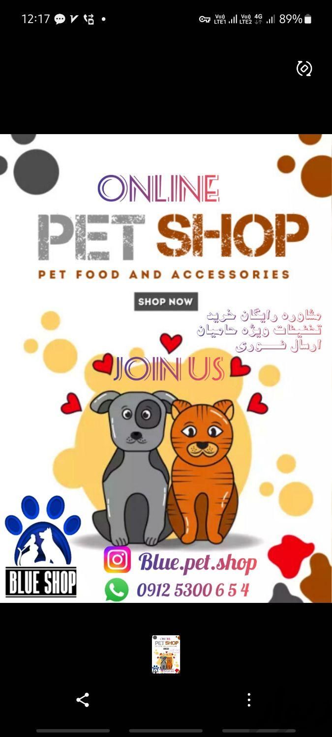 غذای خشک گربه مونلو monello پتشاپ آنلاین|لوازم جانبی مربوط به حیوانات|تهران, سعادت‌آباد|دیوار