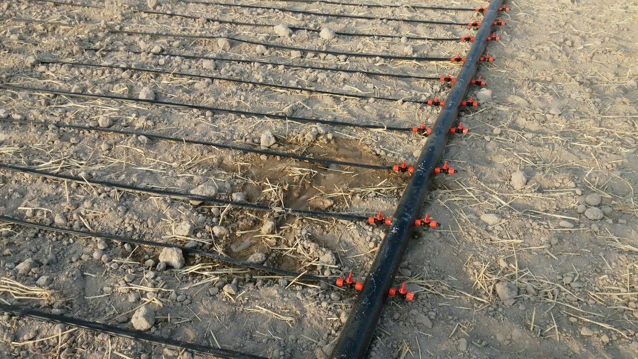 لوله نوار تیپ با ۹ کانال ابگیر و ۵ ابریز|آبگرمکن، پکیج، شوفاژ|ابهر, |دیوار