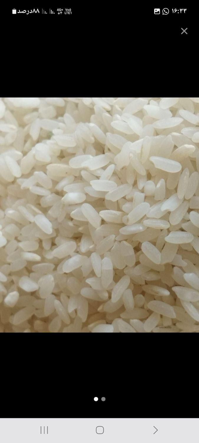 فروش برنج کامفیروزی درجه یک به شرط پخت|خوردنی و آشامیدنی|مرودشت, ابوذر شمالی‎|دیوار