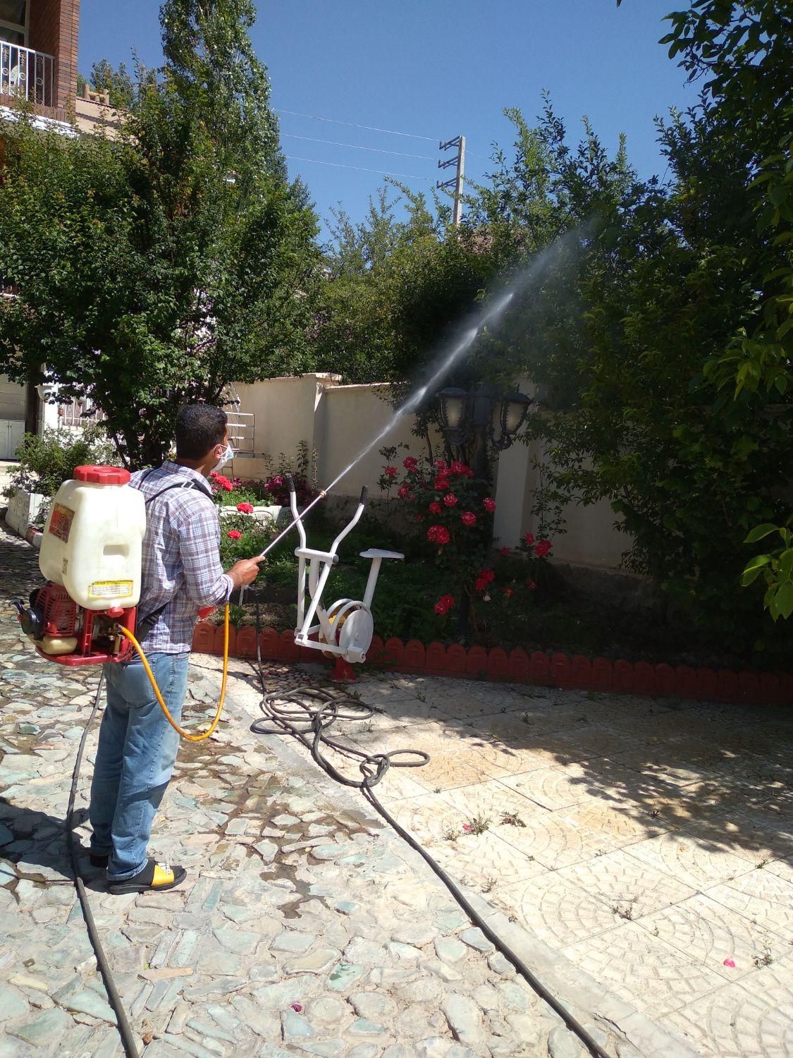 باغبانی سمپاشی هرسکاری تعویض خاک گلدون سراسر تهران|خدمات باغبانی و درختکاری|تهران, قیطریه|دیوار