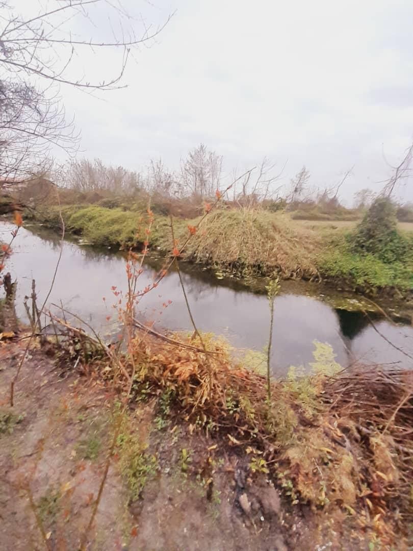 خانه روستایی۱۳۵۰متری(حتی پول زمینشم نیست)/کوچصفهان|فروش زمین و ملک کلنگی|رشت, فلسطین|دیوار