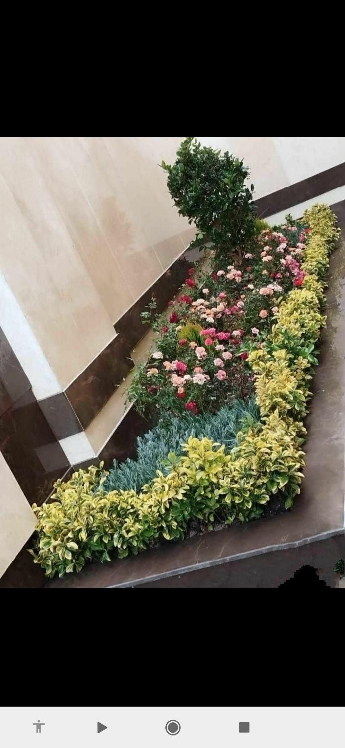 اجرای خدمات باغبانی  کاشت باغچه ،علف زنی سم پاشی|خدمات باغبانی و درختکاری|زنجان, |دیوار