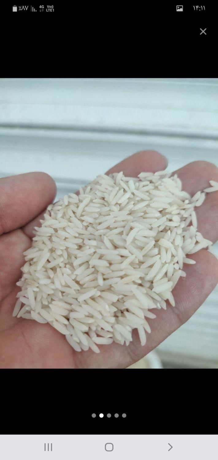 برنج هاشمی برنج هاشمی|خوردنی و آشامیدنی|کرج, فاز ۳ گوهردشت|دیوار