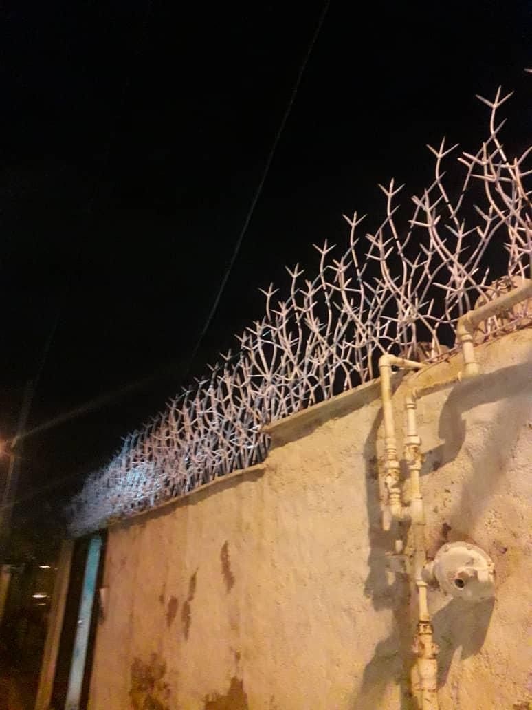 دزدگیر دیواری، بوته ای، شاخ گوزنی، نرده ای، فرفوژه|مصالح و تجهیزات ساختمان|شیراز, شهرک بزین|دیوار