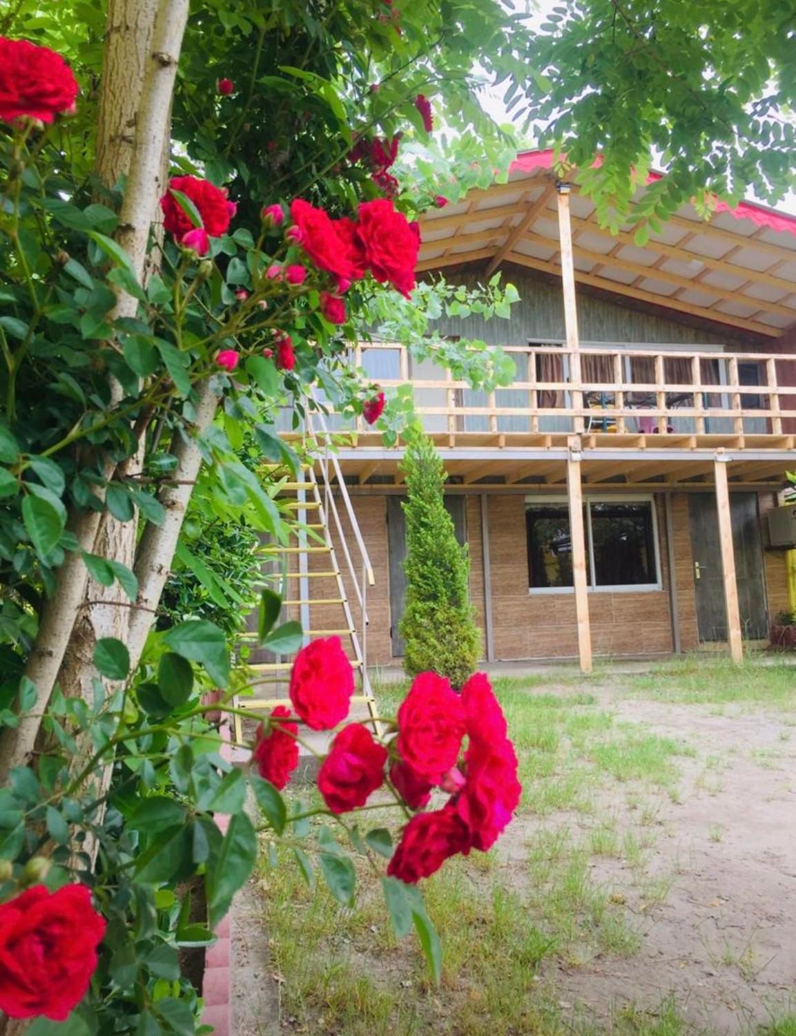 ویلا ساحلی ویو دریا|اجارهٔ کوتاهمدت ویلا و باغ|رشت, پستک|دیوار