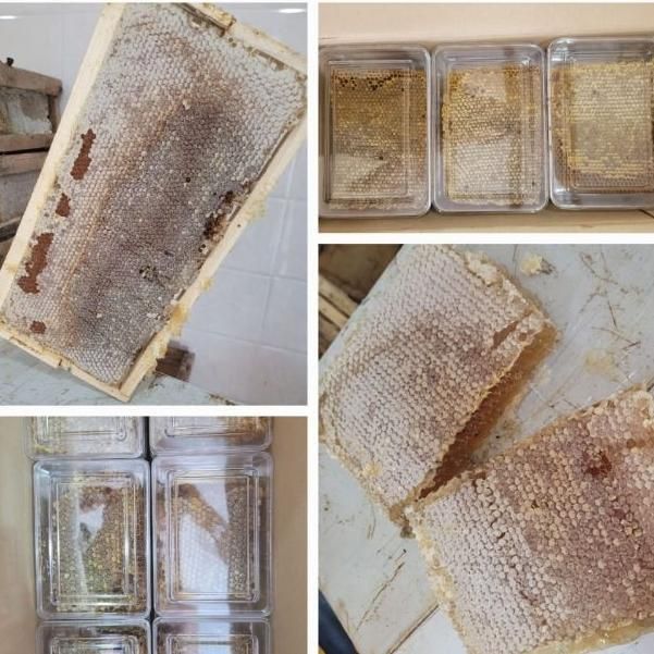 عسل طبیعی بصورت عمده وخرده/گون /چهل گیاه/ کنار|عمده‌فروشی|شیراز, گلشن|دیوار