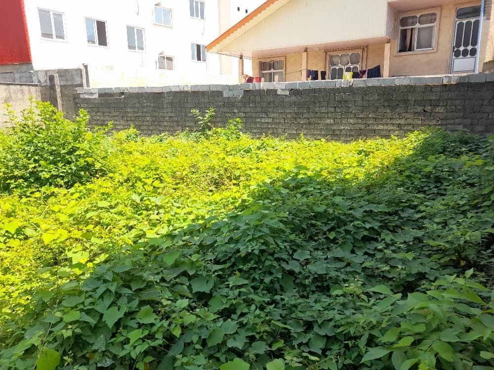 زمین سنددار داخل شهری،موقعیت ساخت،زیرقیمت|فروش زمین و ملک کلنگی|صومعه‌سرا, |دیوار