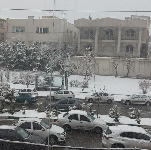 ۲۷۰ متر کلنگی شهرک غرب بر اصلی*موقعیت اداری تجاری|فروش زمین و ملک کلنگی|تهران, درختی|دیوار
