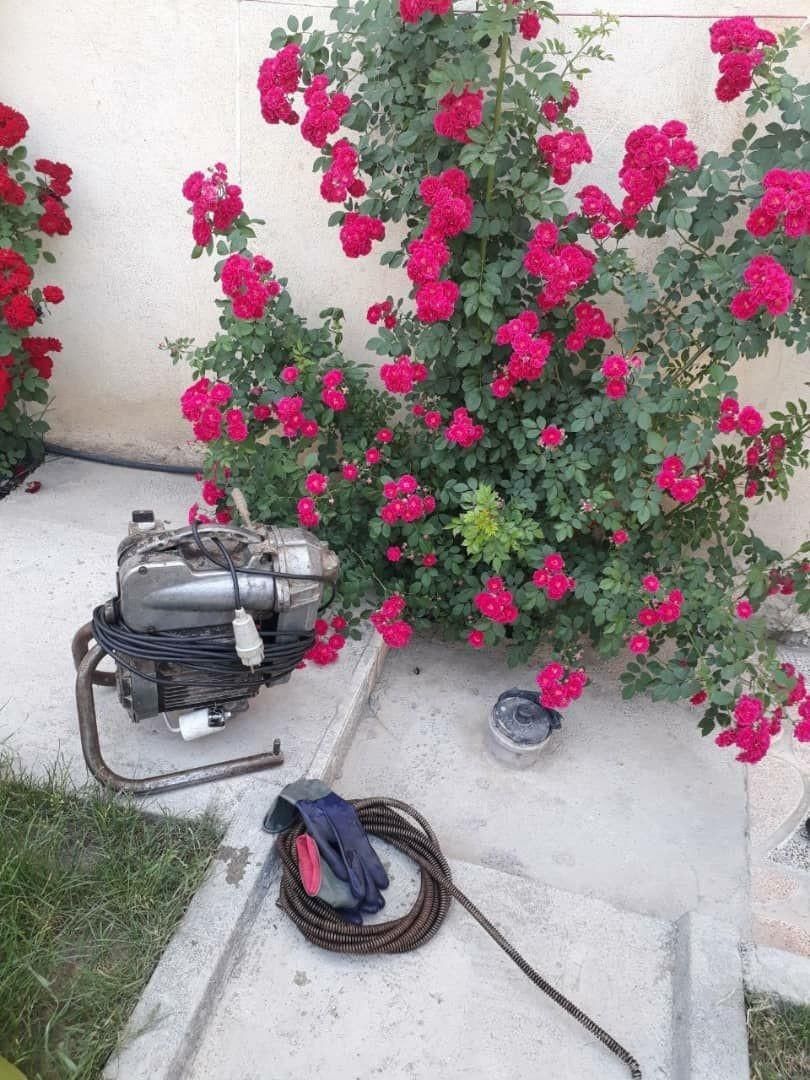 لوله بازکن مرتضوی اسکندری آذربایجان طوس استادمعین|خدمات پیشه و مهارت|تهران, دکتر هوشیار|دیوار