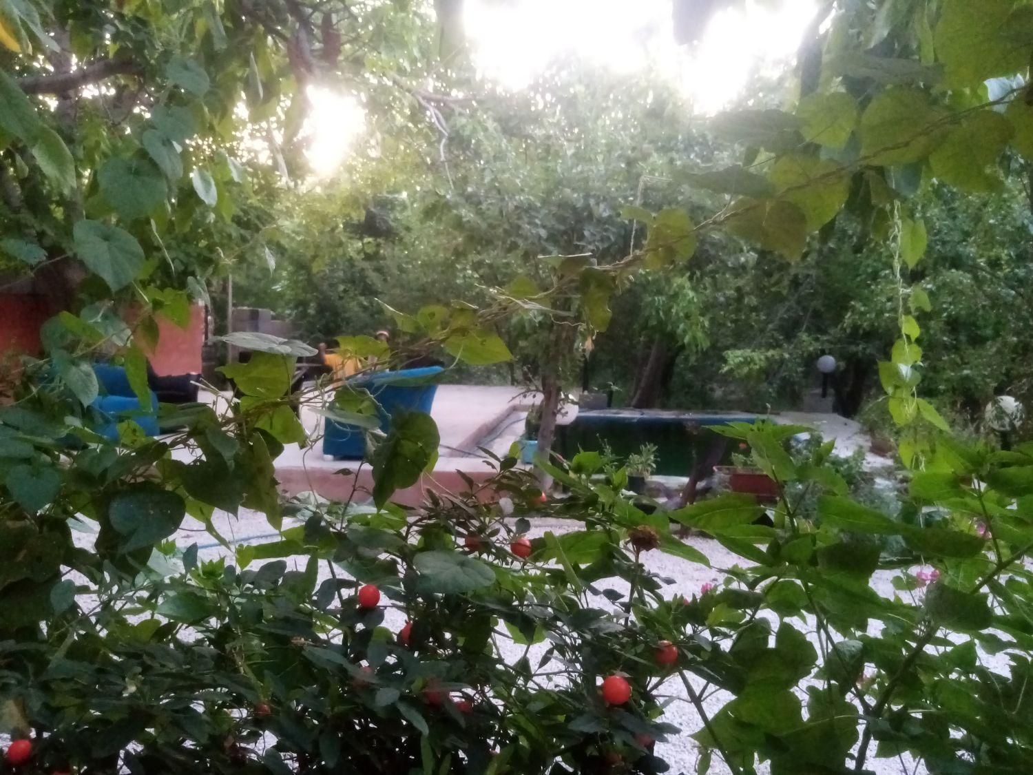 ویلا. باغ. سوئیت در سپیدان سربست|اجارهٔ کوتاه‌مدت ویلا و باغ|شیراز, گویم|دیوار