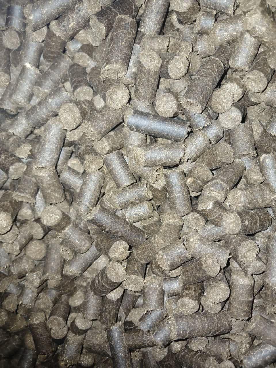 علوفه دامی(فشنگی)|خدمات باغبانی و درختکاری|اراک, |دیوار