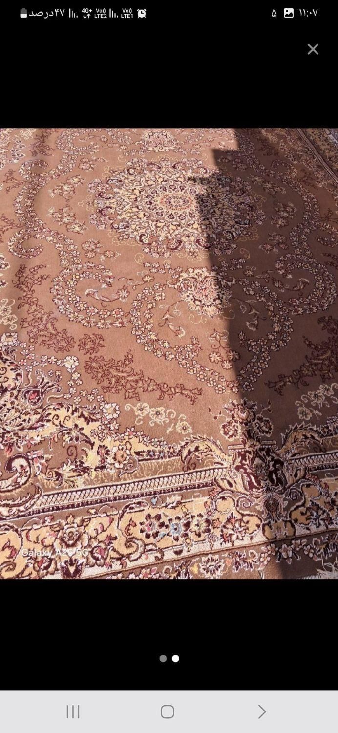 قالی سالم 2 عدد|فرش|تربت جام, میان جام|دیوار