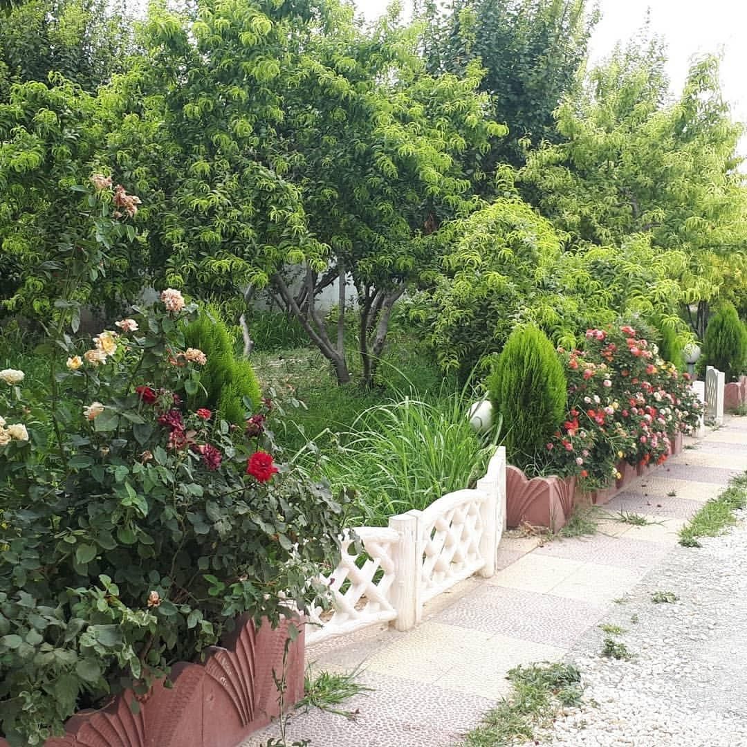 نرو شمال 800مترباغ ویلایی آبسرد دماوند|فروش خانه و ویلا|تهران, افسریه|دیوار