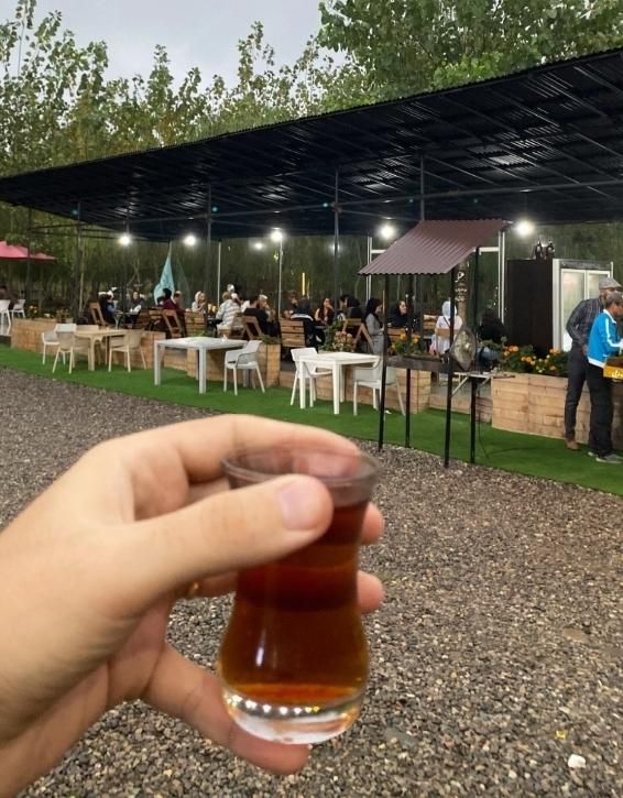 فروش خانه ویلایی چوبی خاص|فروش خانه و ویلا|تربتحیدریه, شهرک ولیعصر|دیوار