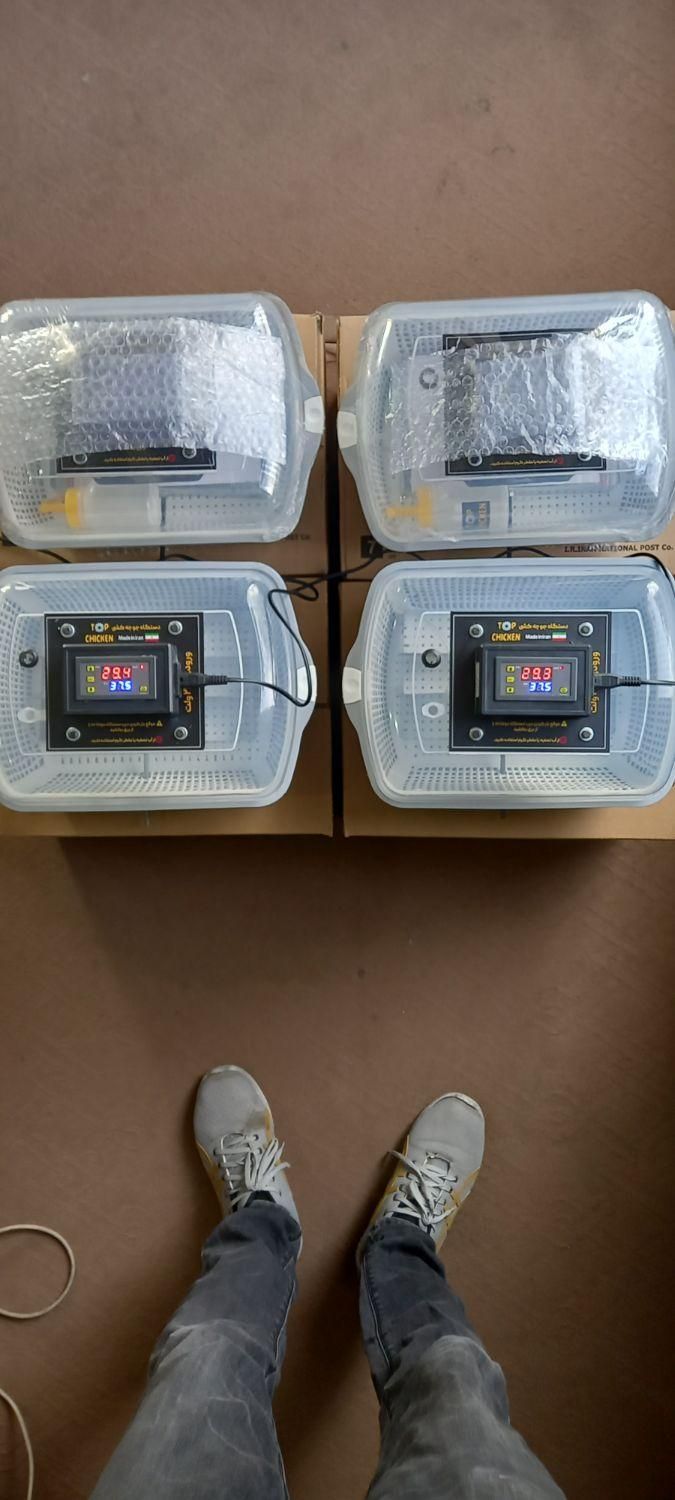 دستگاه جوجه کشی (تضمینی) نیمه اتوماتیک|لوازم جانبی حیوانات|کرمانشاه, |دیوار