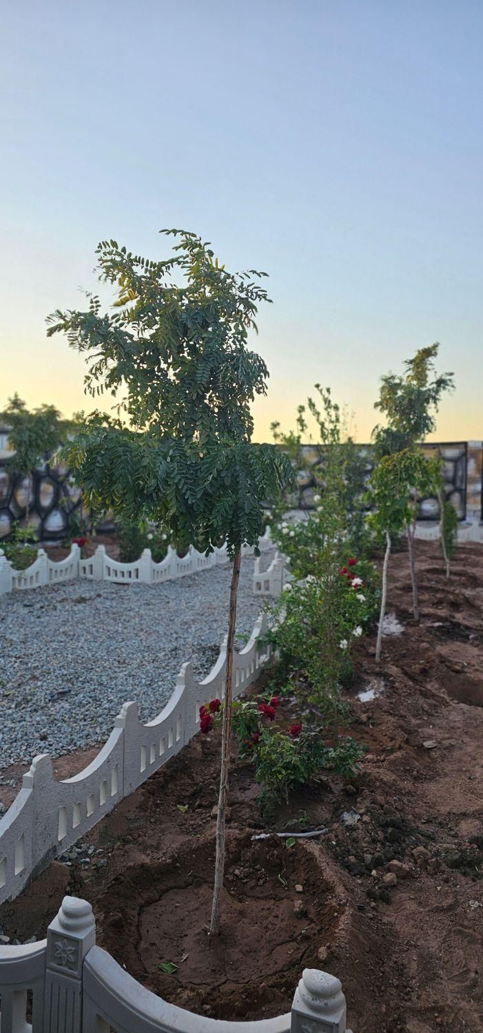 باغچه/باغ/زمین/۱۸۷ متر/نگهبان|فروش زمین و ملک کلنگی|شهریار, اصیل آباد|دیوار