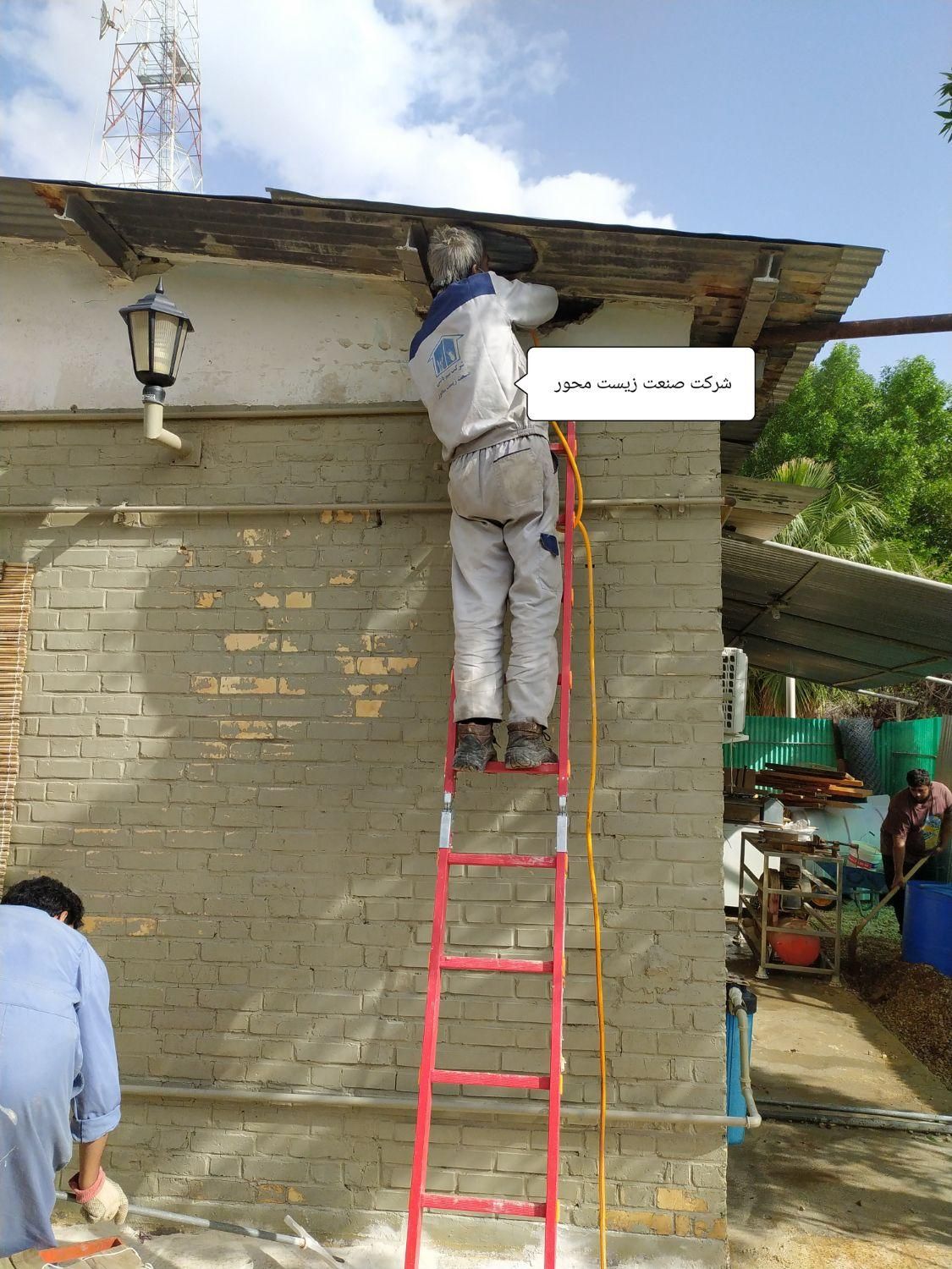 خدمات سمپاشی ساس سوسک موریانه زدایی،سم پاشی شرکتی|خدمات نظافت|بندر ماهشهر, |دیوار
