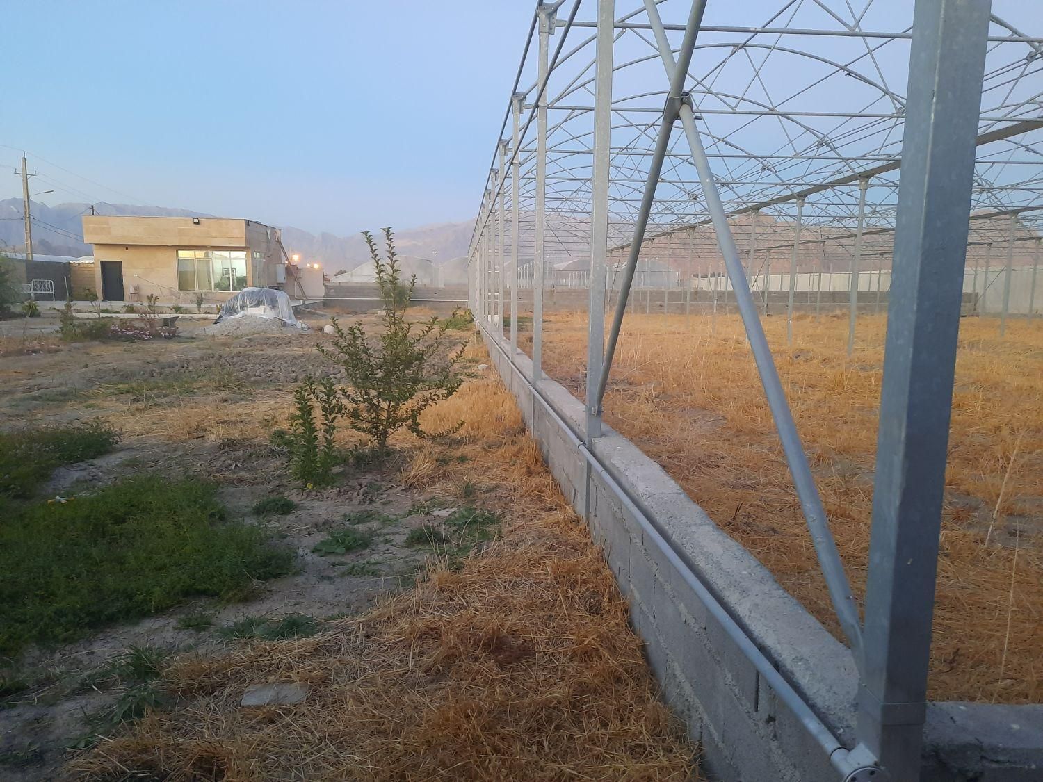 گلخانه ۳۰۰۰ متر مربعی در مجتمع گلخانه ای|فروش دفتر صنعتی، کشاورزی، تجاری|کرمانشاه, |دیوار