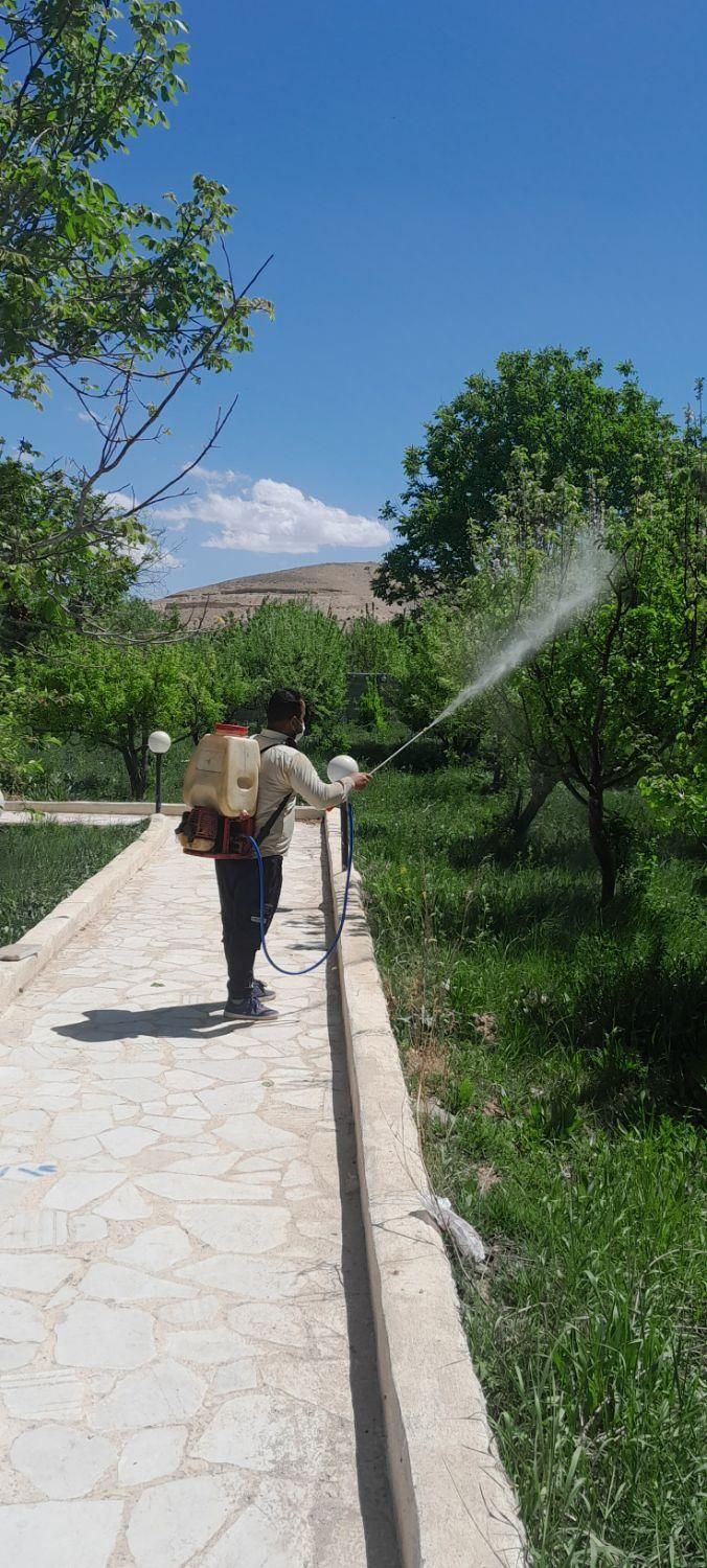 باغبانی سمپاشی تیلرزدن گلکاری کود دهی درتمام نقاط|خدمات باغبانی و درختکاری|مشهد, توس (بلوار توس)|دیوار