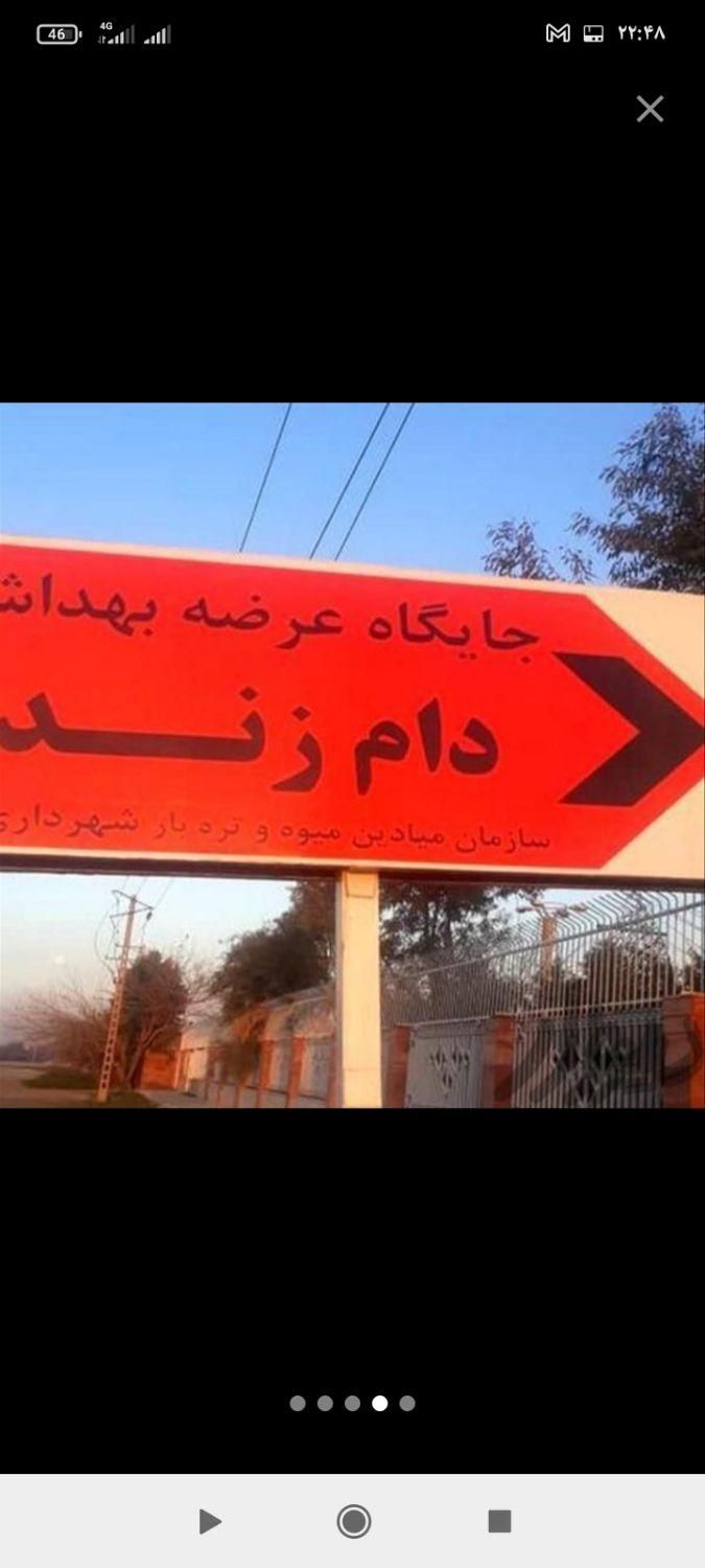 گوسفند زنده درآذری کمیل جیحون رودکی فلاح قزوین|حیوانات مزرعه|تهران, فلاح|دیوار