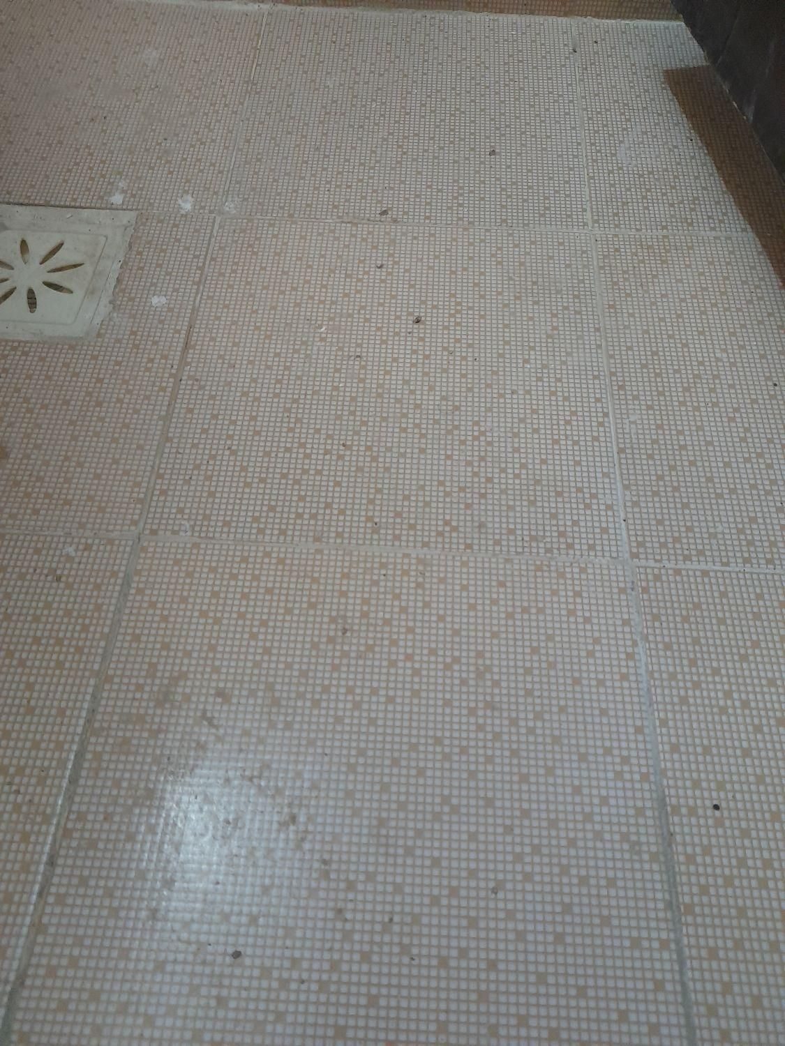 رفع نم بدون خرابی|خدمات پیشه و مهارت|نیشابور, هفده شهریور|دیوار