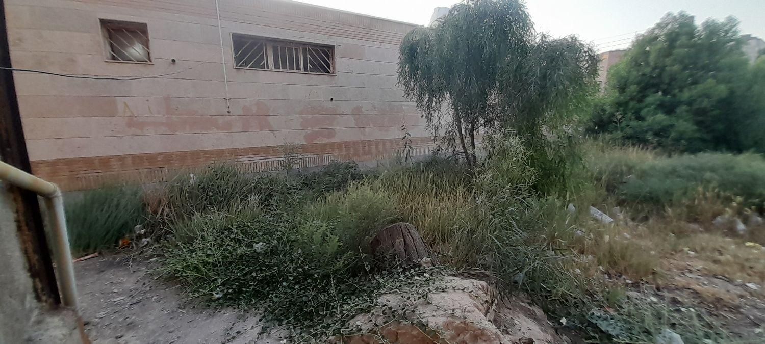 خدمات باغبانی|خدمات باغبانی و درختکاری|بندر ماهشهر, |دیوار