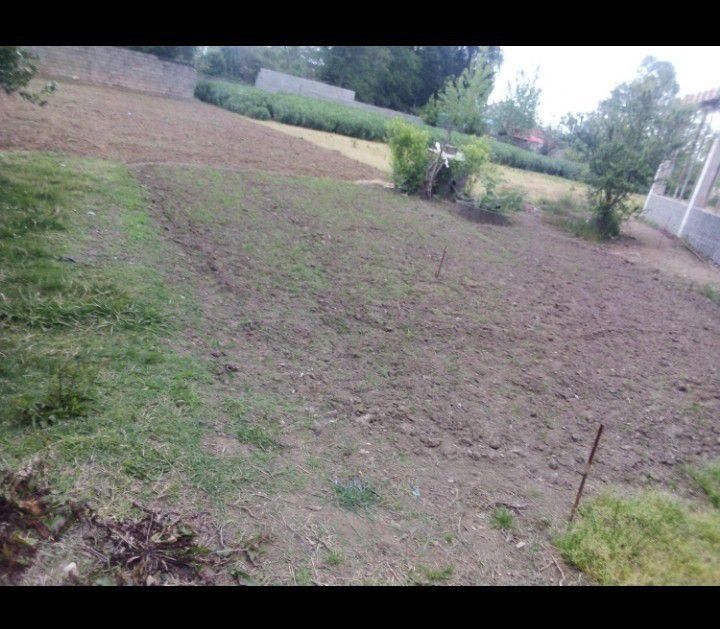 فروش  زمین مسکونی بندرانزلی روستای معاف|فروش زمین و ملک کلنگی|بندر انزلی, آذربایجان|دیوار