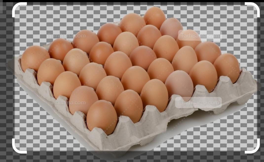 پخش تخم مرغ آرمان|خوردنی و آشامیدنی|مشهد, سرافرازان|دیوار