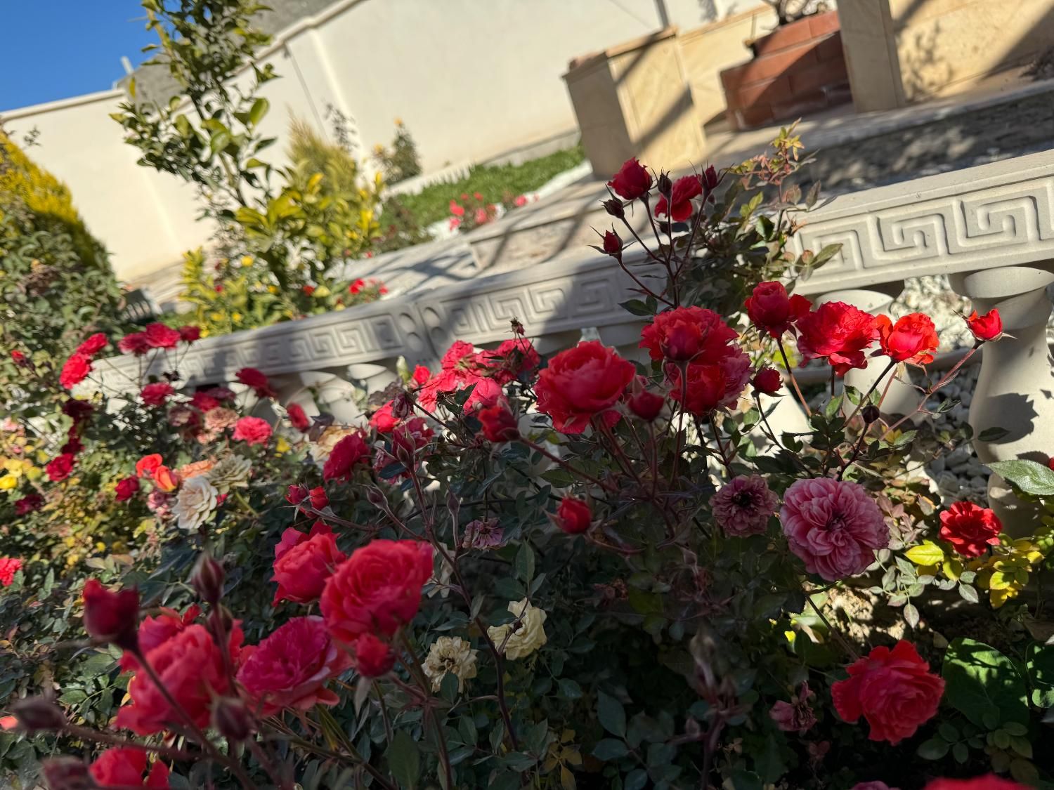 ۳۰۰ زمین چهار دیواری لوکیشن لاکچری سند دار|فروش زمین و ملک کلنگی|ورامین, ریحان آباد|دیوار