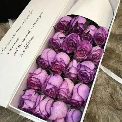 باکس گل کتابی لاکچری رز باکس یلدا روز زن|گل و گیاه طبیعی|اصفهان, دشتستان|دیوار