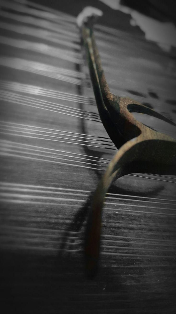 سنتور آموزش حرفه ای|خدمات آموزشی|کرمانشاه, |دیوار