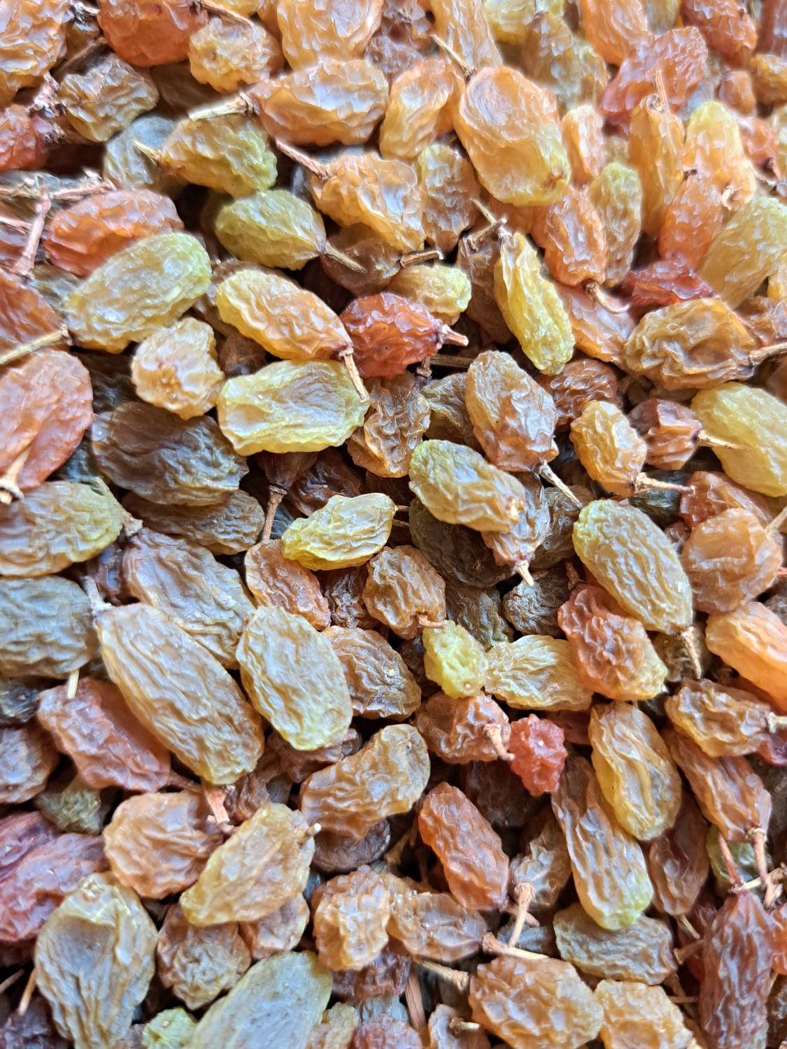 کشمش سایه خشک بی هسته|خوردنی و آشامیدنی|اصفهان, شفق|دیوار